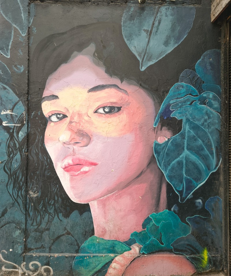 Caminata por Barrio Italia - Providencia - Cámara Móvil - Trasera #Closeup #Outdoors #People #Headshot #Portrait #Leaf #Growth #Green #Nature #Purple #Plant