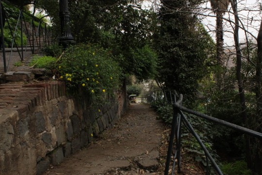 🌿 Camino oculto en el Cerro Santa Lucía — Agosto / Edición Septiembre

Esta fotografía fue realizada en agosto y editada durante septiembre, trabajando cuidadosamente la textura, la luz difusa y la profundidad natural del sendero. Un rincón silencioso en medio del ritmo urbano de Santiago.

📸 Detalles de la toma:
• Cámara: Canon EOS Rebel T100
• Lente: EF-S 18-55mm f/3.5-5.6 III
• ISO: 100
• Modo: Manual, sin trípode
• Ubicación: #CerroSantaLucía — Santiago, Chile 🇨🇱
• Fenómeno astronómico: Luz difusa de mediodía, ambiente nublado ☁️


#Forest #Plant  #Metal #Park