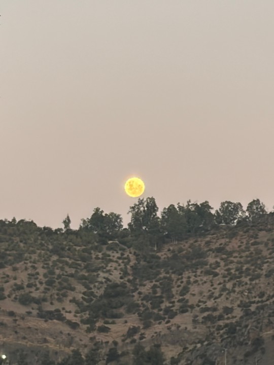 Lunita desde lejos #Moon #Landscape #Nature #ScenicsNature #Outdoors #Plant