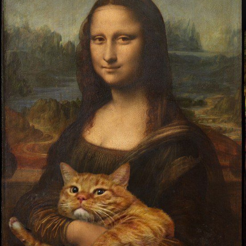 Vero profile picture for @alarmist