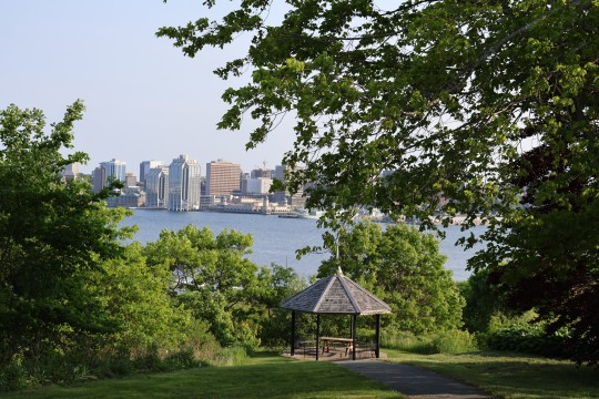 Peekaboo - Halifax, Nova Scotia
°
°
°
#photography #photo #halifax #novascotia