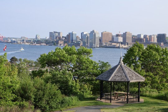 Amazing view of Halifax, Harbour and Downtown!
°
°
°
#halifax #photography #trees #downtown #downtownhalifax #novascotia