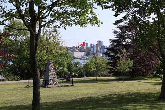 Oh Canada! 🇨🇦🍁
#Grass #Growth #Outdoors #Green #Tree #Park #Sunlight #Sky #Canada