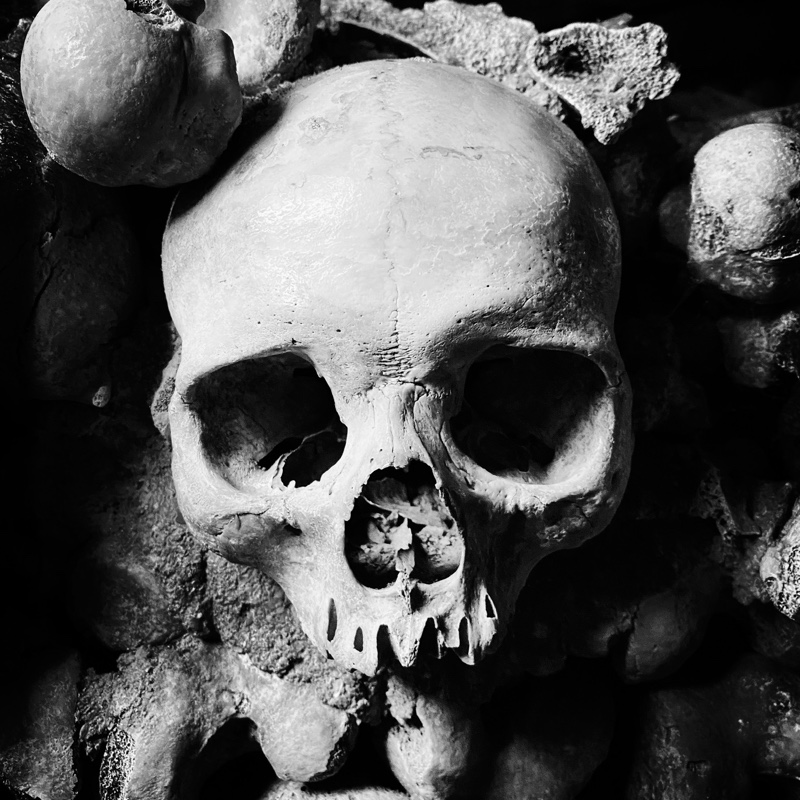 Vero profile picture for @apparition