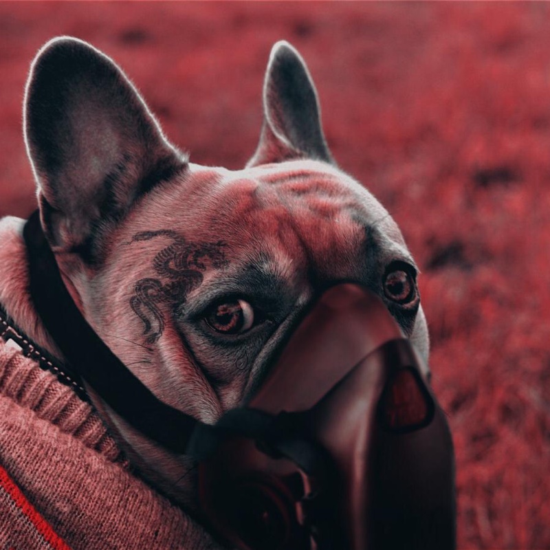 Vero profile picture for @anybody