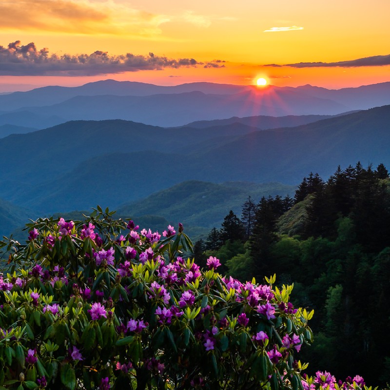 Vero profile picture for @asheville