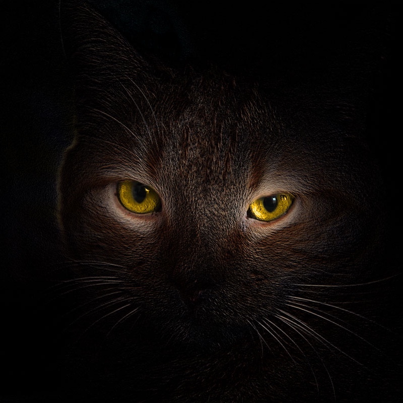 Vero profile picture for @mrsalty