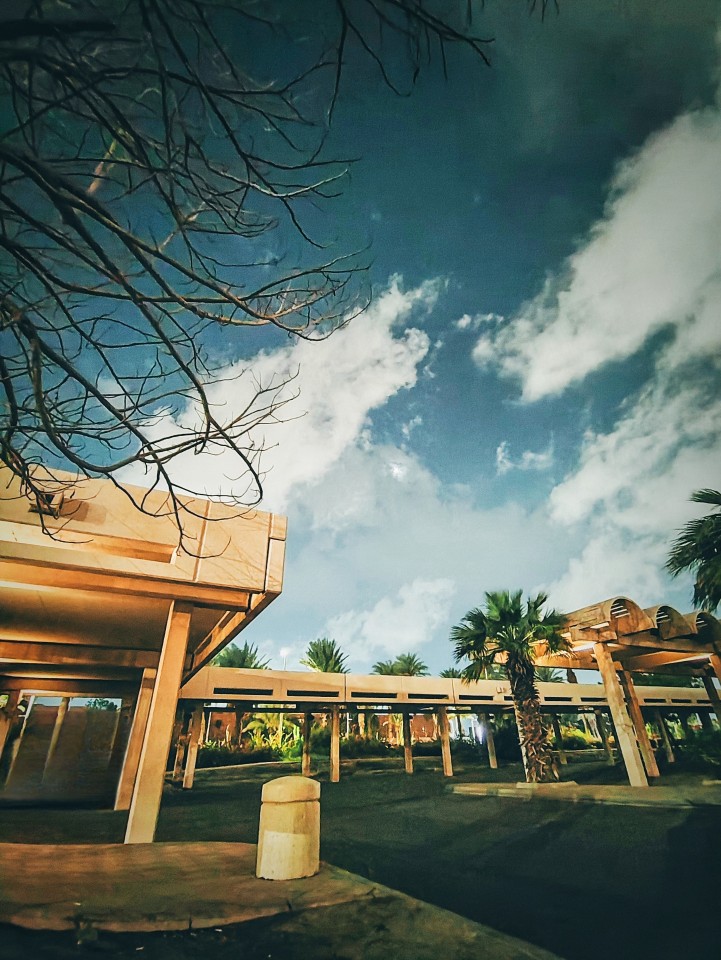 #Sky #Plant #Space #Road #Asphalt #Room #Metal #Branch #Building #Leisure #Twig #Roof