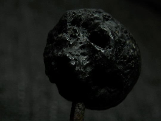 🇮🇸 Back in Vero with this icelandic 2,7cm lava stone 💀 Available · DM for Purchase

#handcarved  #lavastone #skull
#iceland #stonecarving #skull_art  
#exploreiceland #Ísland