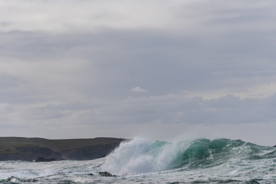 A few shots of The Cribbar in Newquay 🌊📸

These were taken while I was on fishing boat trip and it making its way back into Newquay Harbour. I had the Sony A6400 with the 55–210mm lens with me and, while coming back in on the boat , I noticed the waves breaking out around The Cribbar and started photographing them.

The Cribbar is Newquay's famous big-wave reef, sitting offshore from Towan Headland, just beyond Little Fistral at the northern end of Fistral Beach. It's a very different break from the more familiar beach waves at Fistral, forming over a shallow reef that can focus a large Atlantic swell into a powerful wave.

It's also a notoriously rare break, needing the right combination of swell, tide and wind before it really starts to show itself. When the conditions line up, it can produce some seriously impressive waves.

These weren't taken during a dedicated surf photography session — just one of those moments when I had the camera with me and spotted something worth capturing.

Sony A6400 + 55–210mm 📷

#TheCribbar #Cribbar #Newquay #FistralBeach #TowanHeadland #Cornwall #SurfPhotography #WavePhotography #SonyA6400 #SonyPhotography

#england 
#rebel_colors
#Rebels_United
#exquisitepics20 
#Podium #masterpix 
#HEY_IHADTOSNAPTHAT
#niftyfoto #bpa_arts 
#snap_community #snap_community_member
#snap_world #Snap_europe #snap_uk 
#SnaP_Beaches 
#wave
#waves
#cornwall #cornwallbeachs #ukbeachs