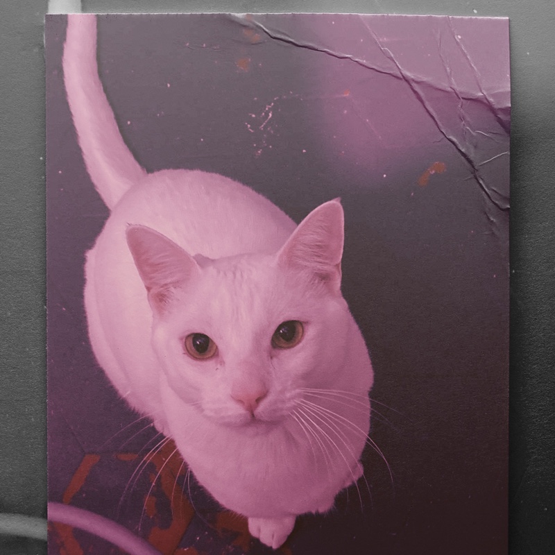 Vero profile picture for @natalia