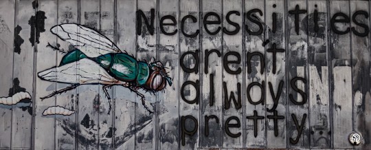 Necessities. #Wall #Graffiti #Creativity #Outdoors #Art #StreetArt