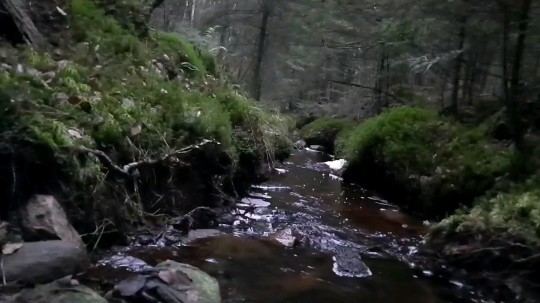 Bäckar små porlar & sjunger en harmoni. Kalimbasländan dansar fram toner vid bäckens kant.
•
•
•
↟↟🔥🦊○↟↟
(#vildroot/#forest/#nature/#foresttribe/#skogen/#naturen/#skogstribe/#moderjord/#modernatur/#motherearth/#mothernature/#natureoflove/#naturkärlek/#naturemedicine/#thankful/#rerooting/#naturemusic/#naturmedicin/#medicinemusic/#animism/#theforestisourtemple/#skogenärvårattempel/#nordicforest/#norse/#wildlife/#wilderness/#vildliv/#rewilding/#friluftsliv/#walkingwiththewild)
